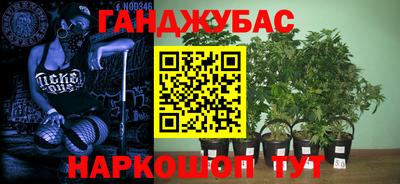 таблы Лесосибирск