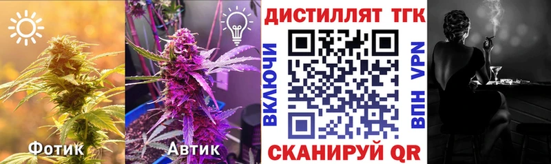 ТГК Wax  Холмск 