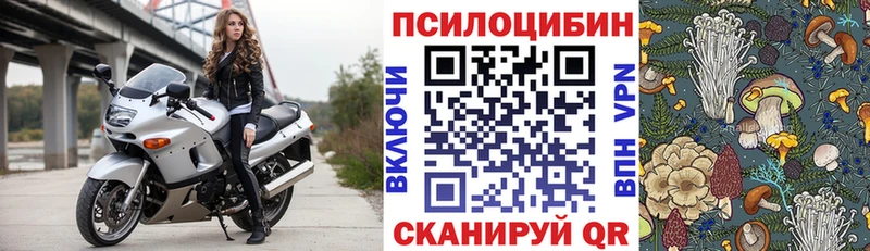 Псилоцибиновые грибы Cubensis  ОМГ ОМГ ССЫЛКА  Холмск 