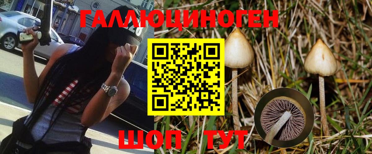 Галлюциногенные грибы Psilocybine cubensis  Вход с VPN  Псилоцибиновые грибы Cubensis  Холмск 